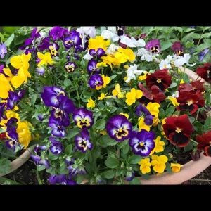 Meet your Posher, Jan